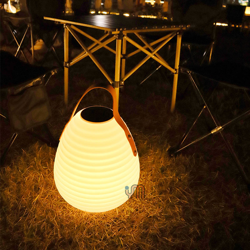 Solar Camping Waterproof Lighting Garden LED Light (VY-Y213)