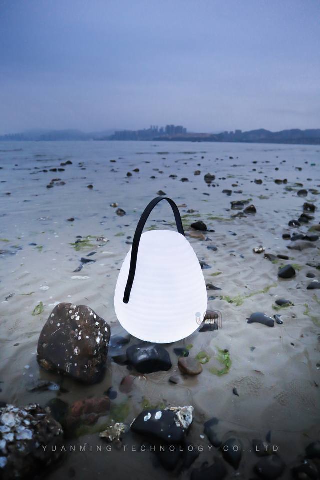 Outdoor Waterproof Portable Lantern Lamp (VY-Y214)