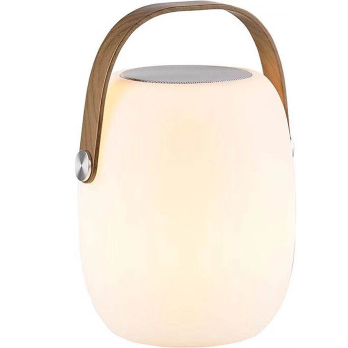 Glowing Portable LED Lantern(VY05-004)