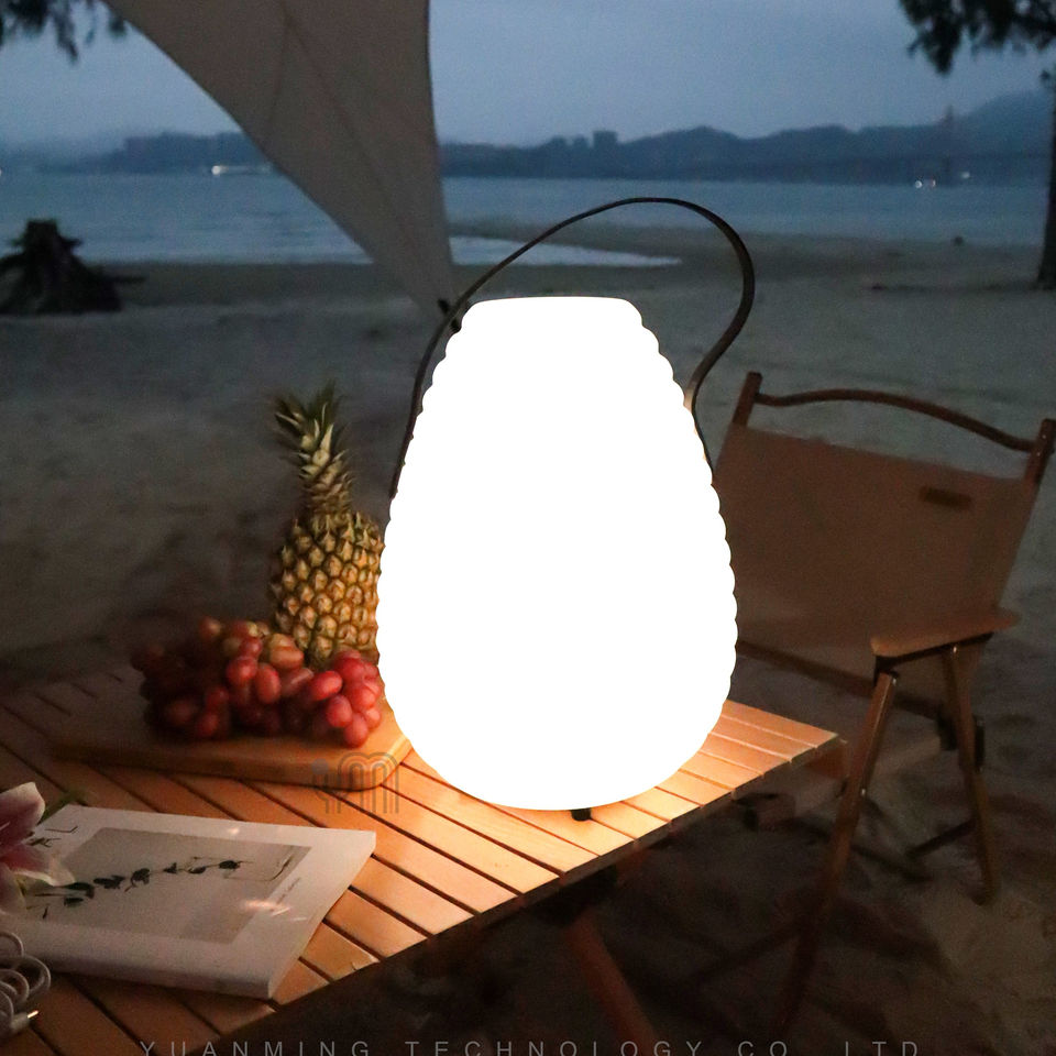 Outdoor Camping Waterproof Lighting Garden Light(VY05-005)